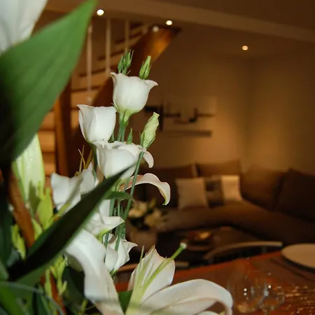 Suit'home Jacobins * Angers