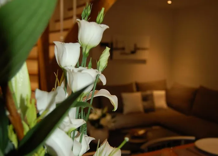 Suit'home Jacobins * Angers